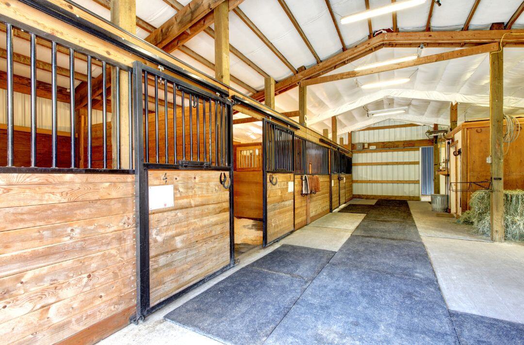 horse stable cost